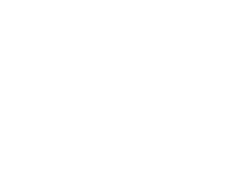 Team Cherry logo